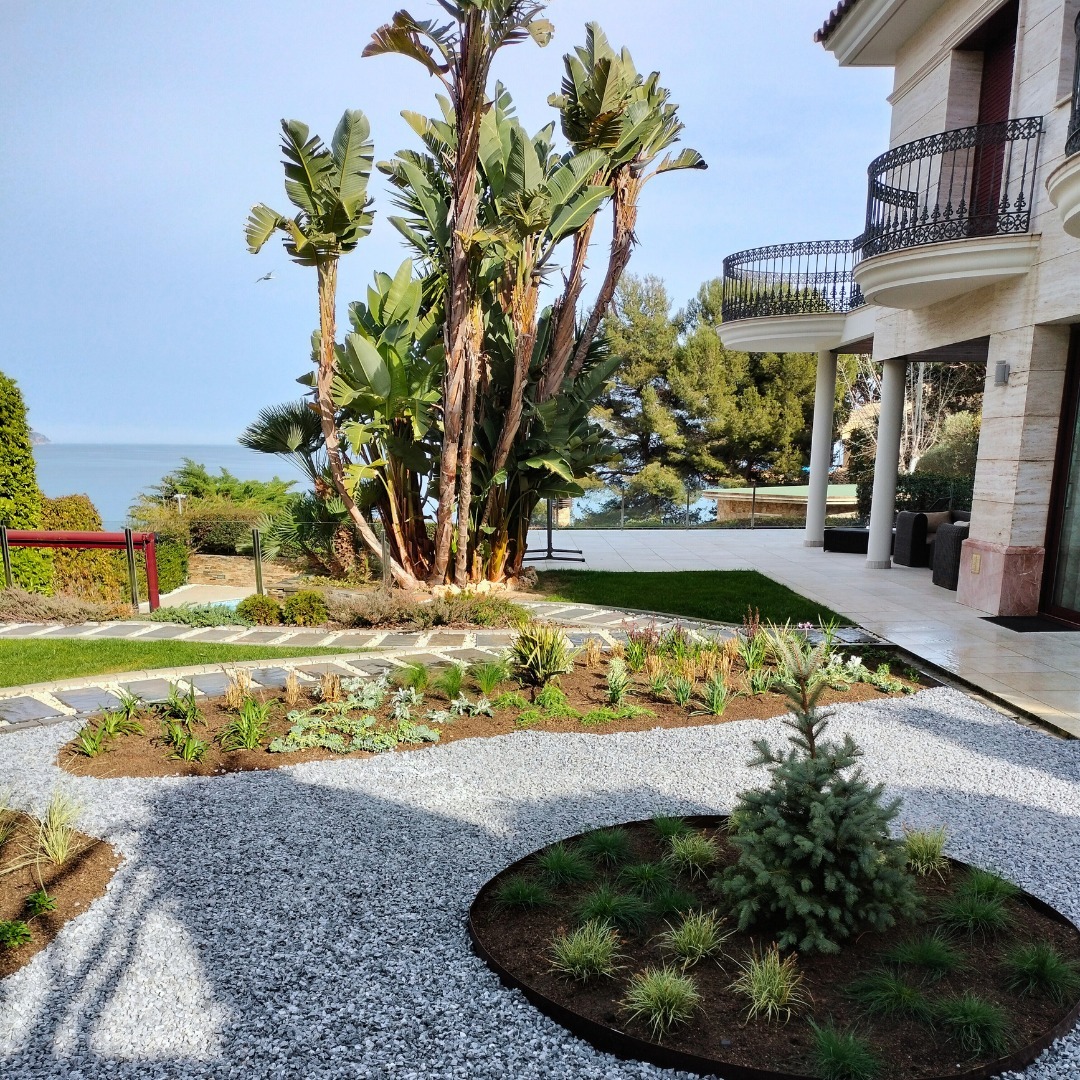 Jardí verd i cuidat