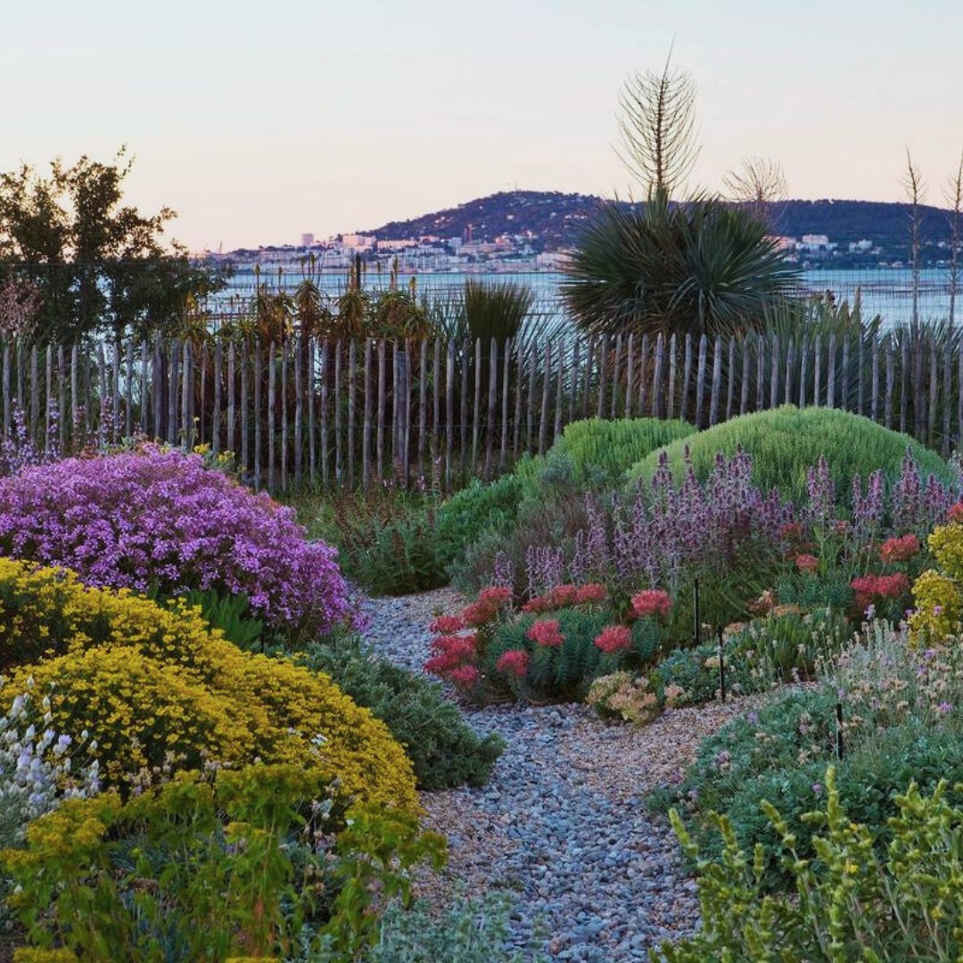 Projecte de jardineria amb plantes